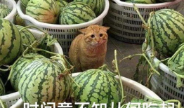 花百万吃瓜爆料入口,揭秘娱乐圈幕后风云